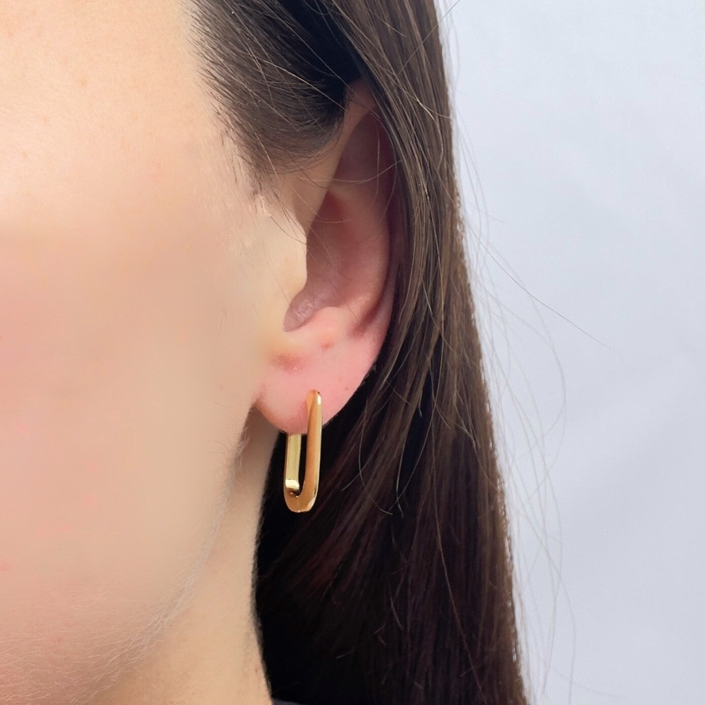 Congo Earrings Gleam