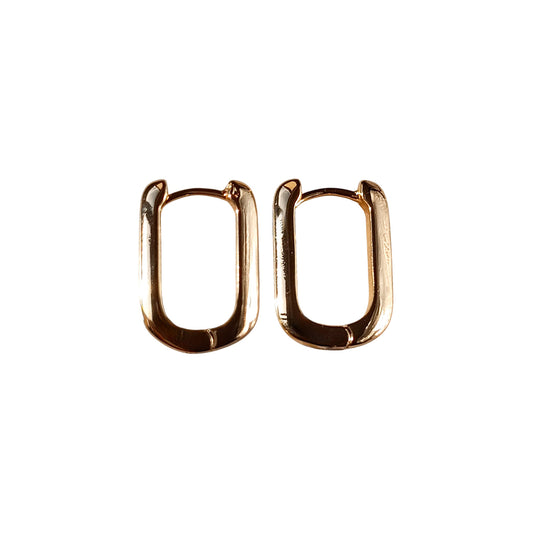 Congo Earrings Gleam