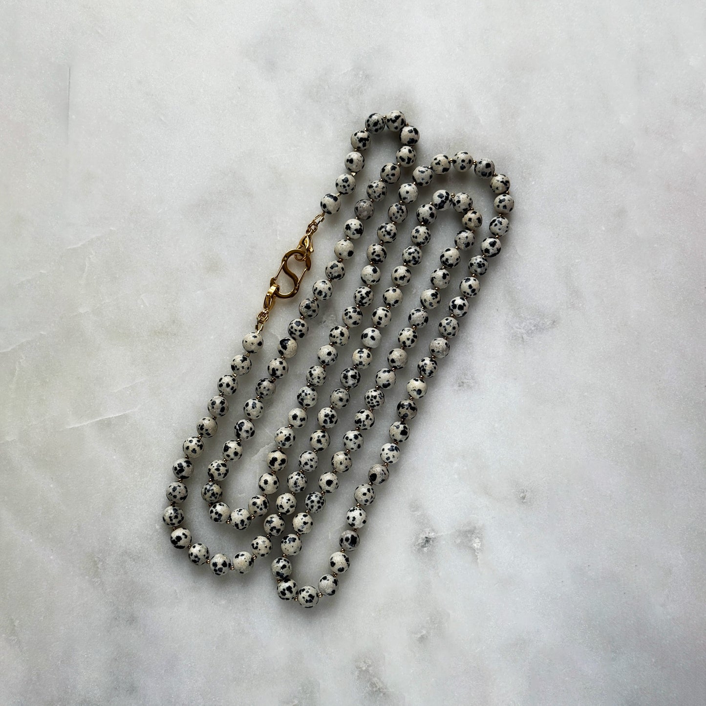 Dalmatian Jasper Transformer