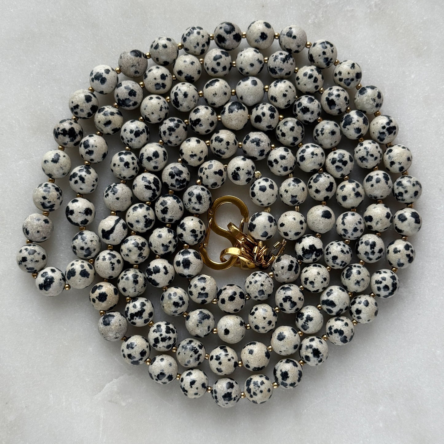 Dalmatian Jasper Transformer