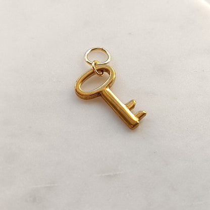 Golden Charm Key