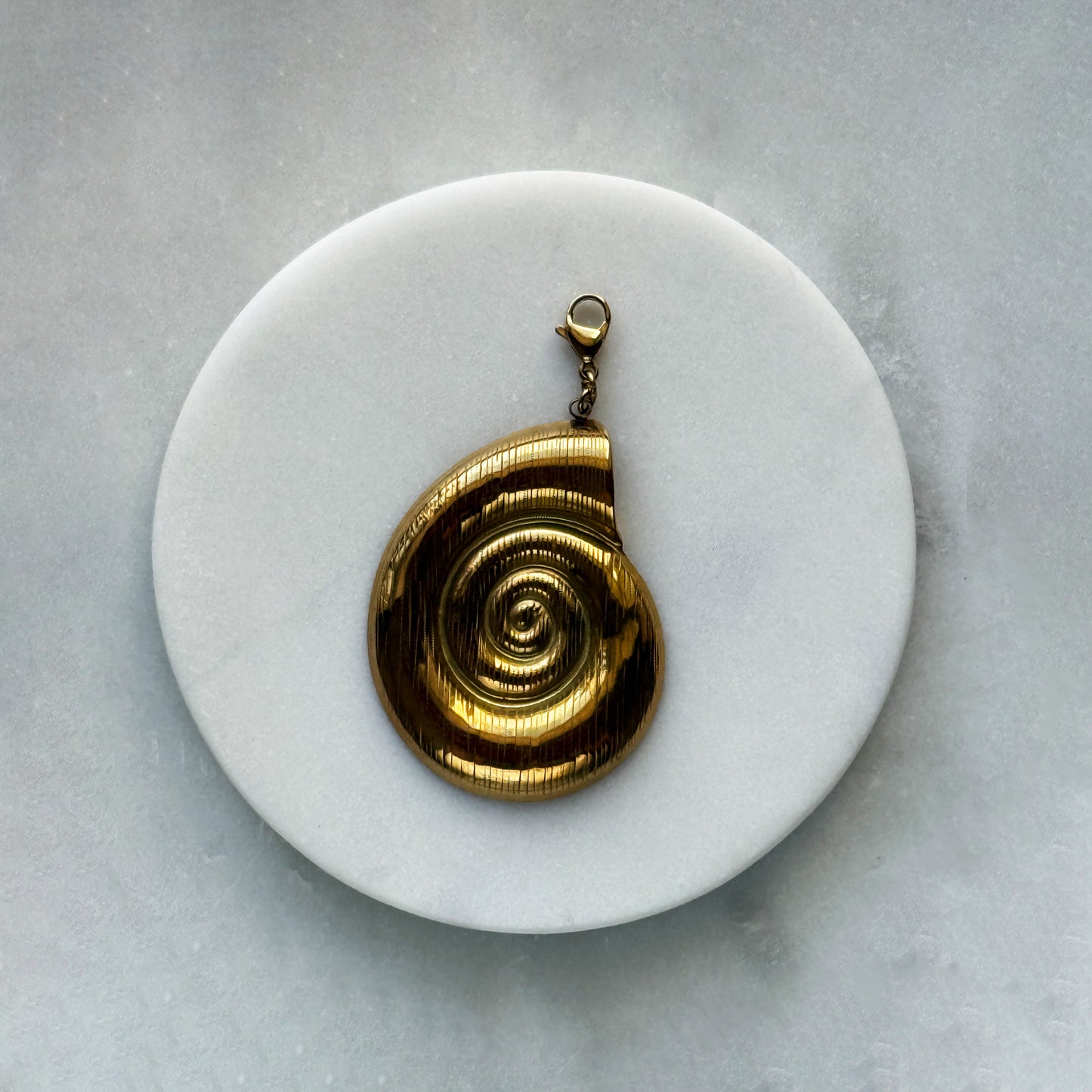 Pendant With Carabiner - Shell Round