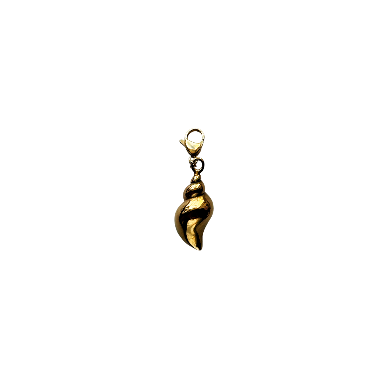 Pendant With Silver Shell