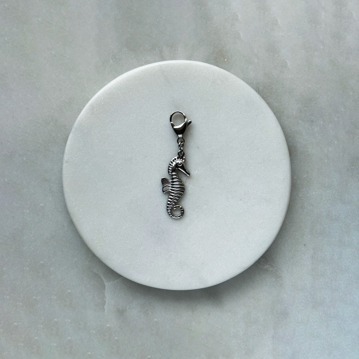 Seahorse On Carabiner