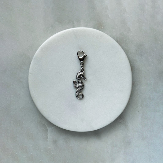 Seahorse On Carabiner